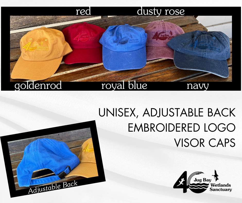 Six unisex adjustable-back visors in goldenrod, red, dusty rose, royal blue, and navy with embroidered logo