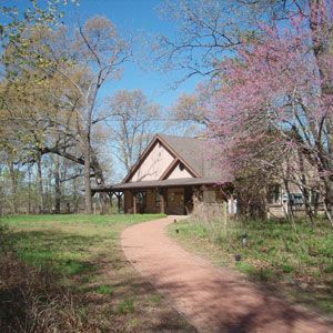 Small cabin with a porch beside a winding dirt path, surrounded by trees and blooming pink blossoms.