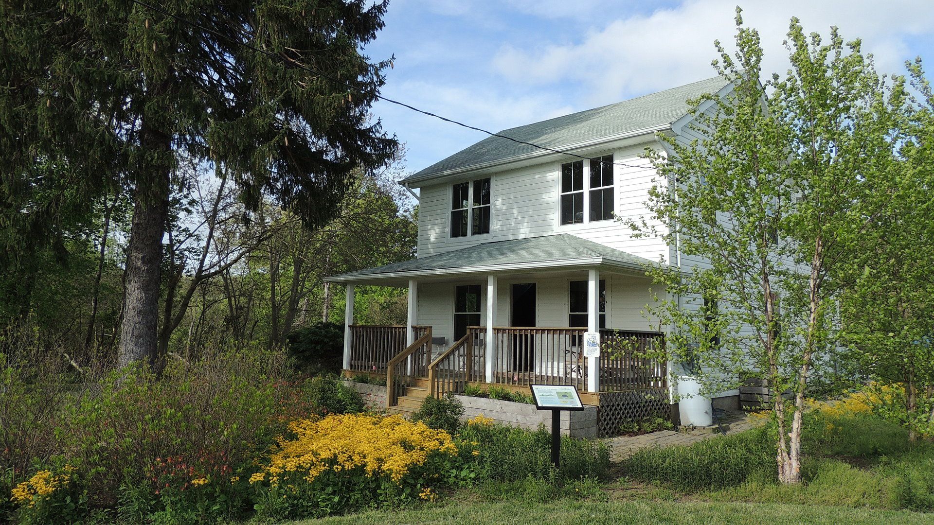 White two-story house with a porch, surrounded by trees and yellow flowers in a green yard.