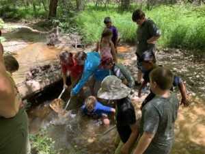 People wading and splashing in a shallow creek near a log in a wooded area