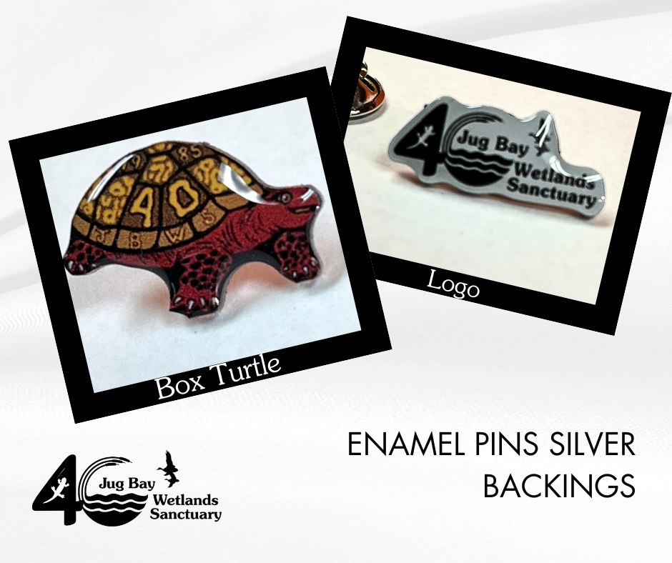 Custom enamel pins: box turtle design and logo, with silver backings.
