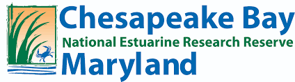 Chesapeake Bay Maryland logo with blue text and green reed icon for the National Estuarine Research Reserve