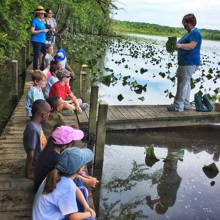 Group of people on a wetland boardwalk listening to a guide beside a marshy pond with floating plants