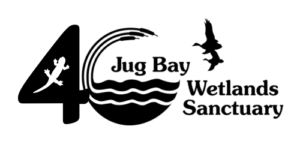 40th Jug Bay Wetlands Sanctuary logo with black bird, salamander, and wavy water lines