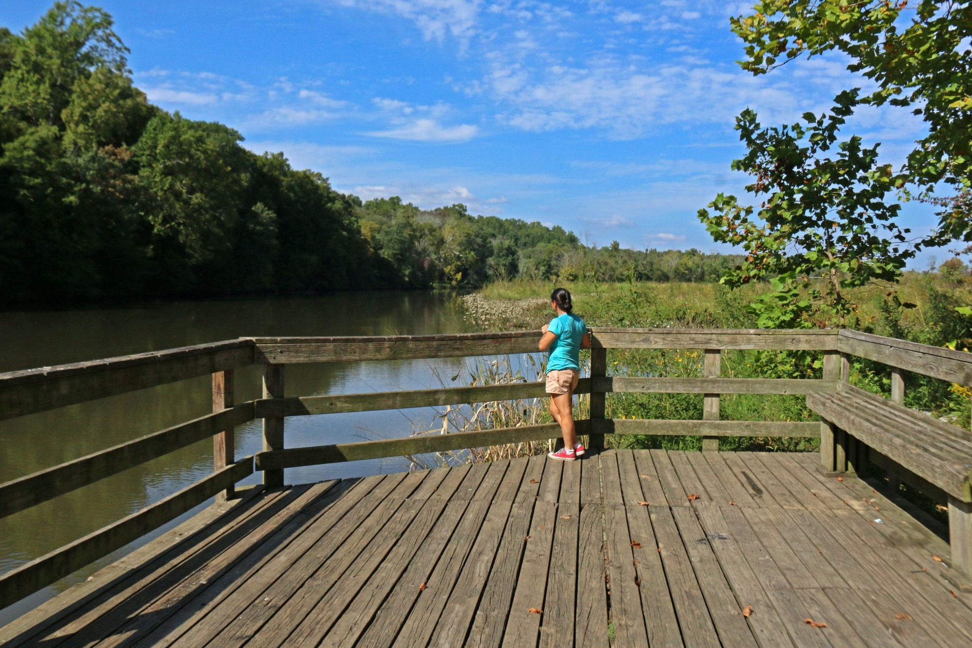 Person on wooden viewing deck overlooking a calm river and green trees under a blue sky