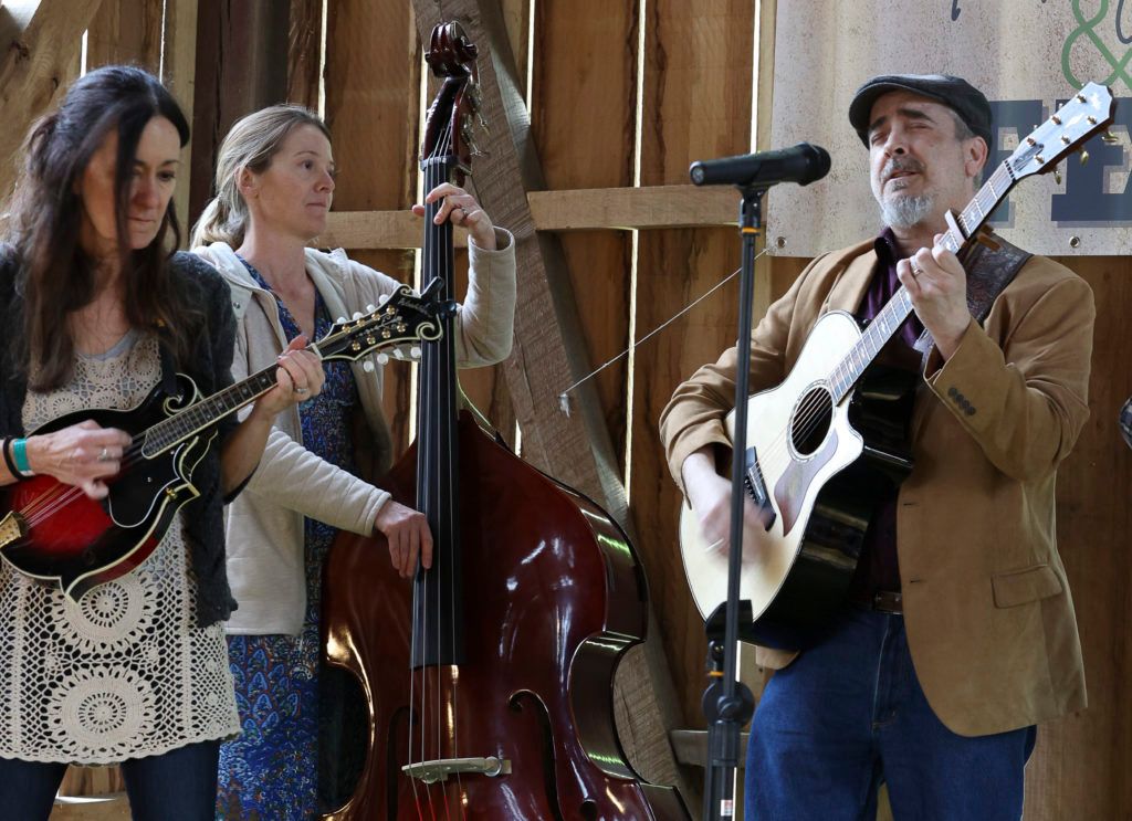 Three musicians performing indoors with mandolin, upright bass, and guitar at microphones.