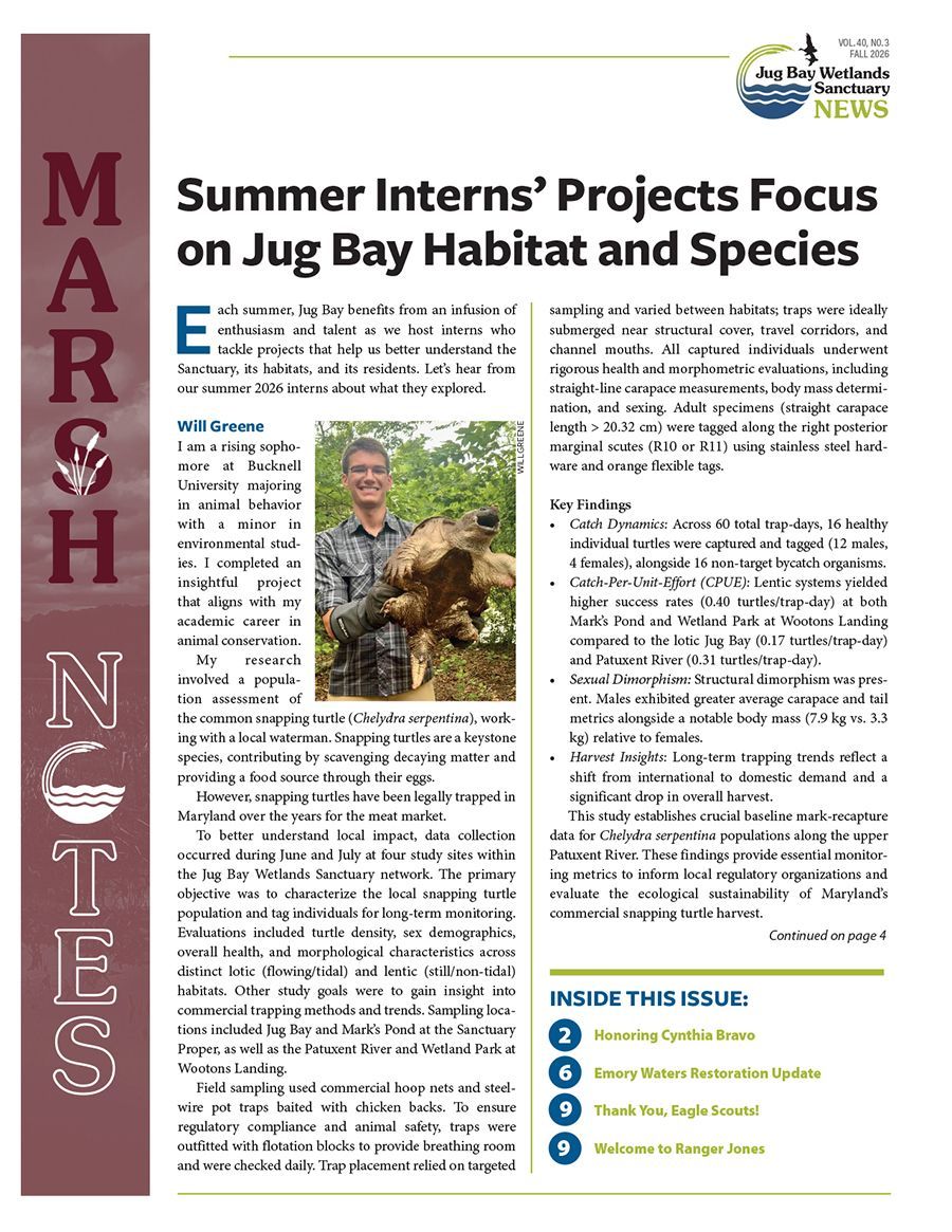 Newsletter page titled “What Does ‘Sanctuary’ Mean to Our Community?” with marsh photo and two people seated outdoors