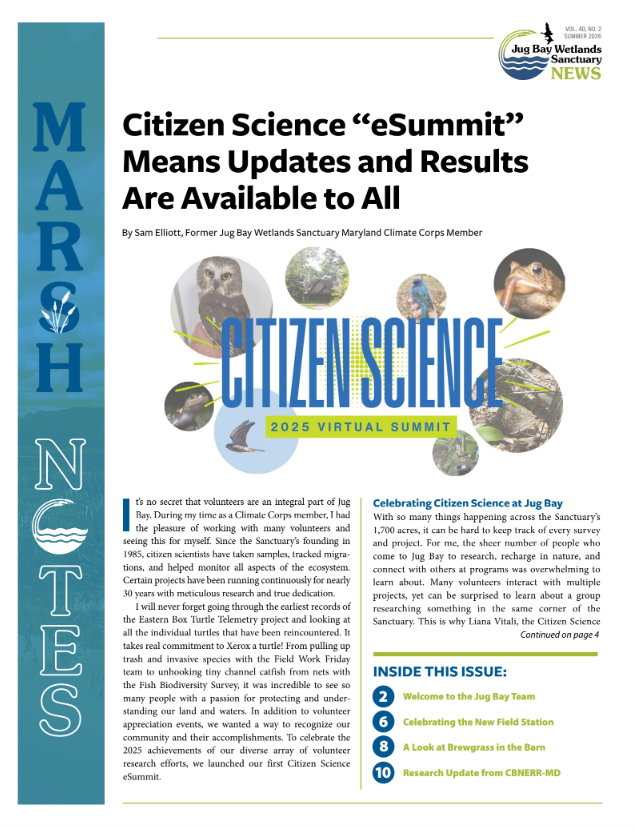 Newsletter page titled “What Does ‘Sanctuary’ Mean to Our Community?” with marsh photo and two people seated outdoors