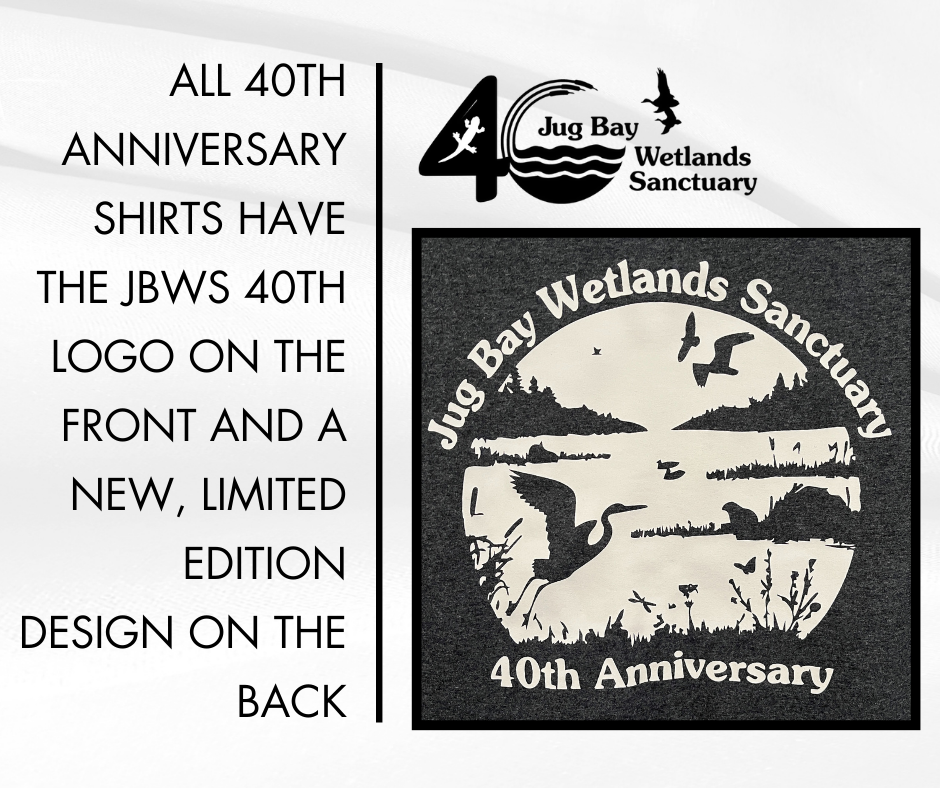 JBWS 40th anniversary shirt with logo and Wetlands Sanctuary design on black background