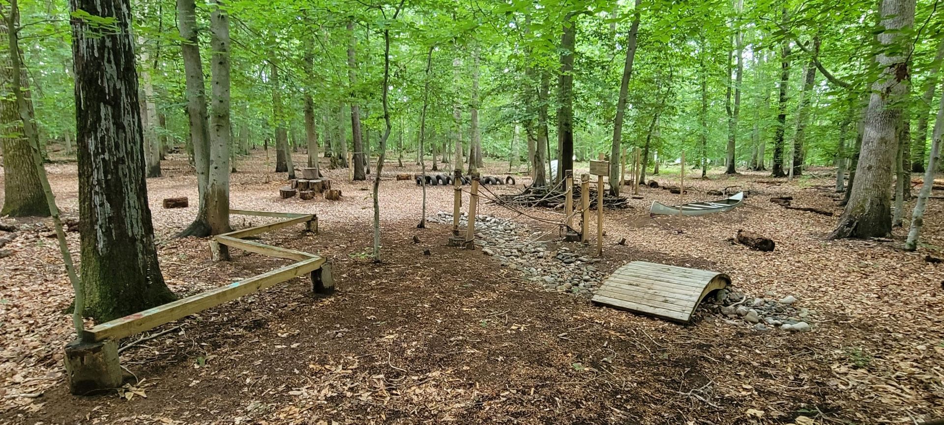 Wooded park with a wooden bench, leaf-covered ground, and a concrete slab in the woods
