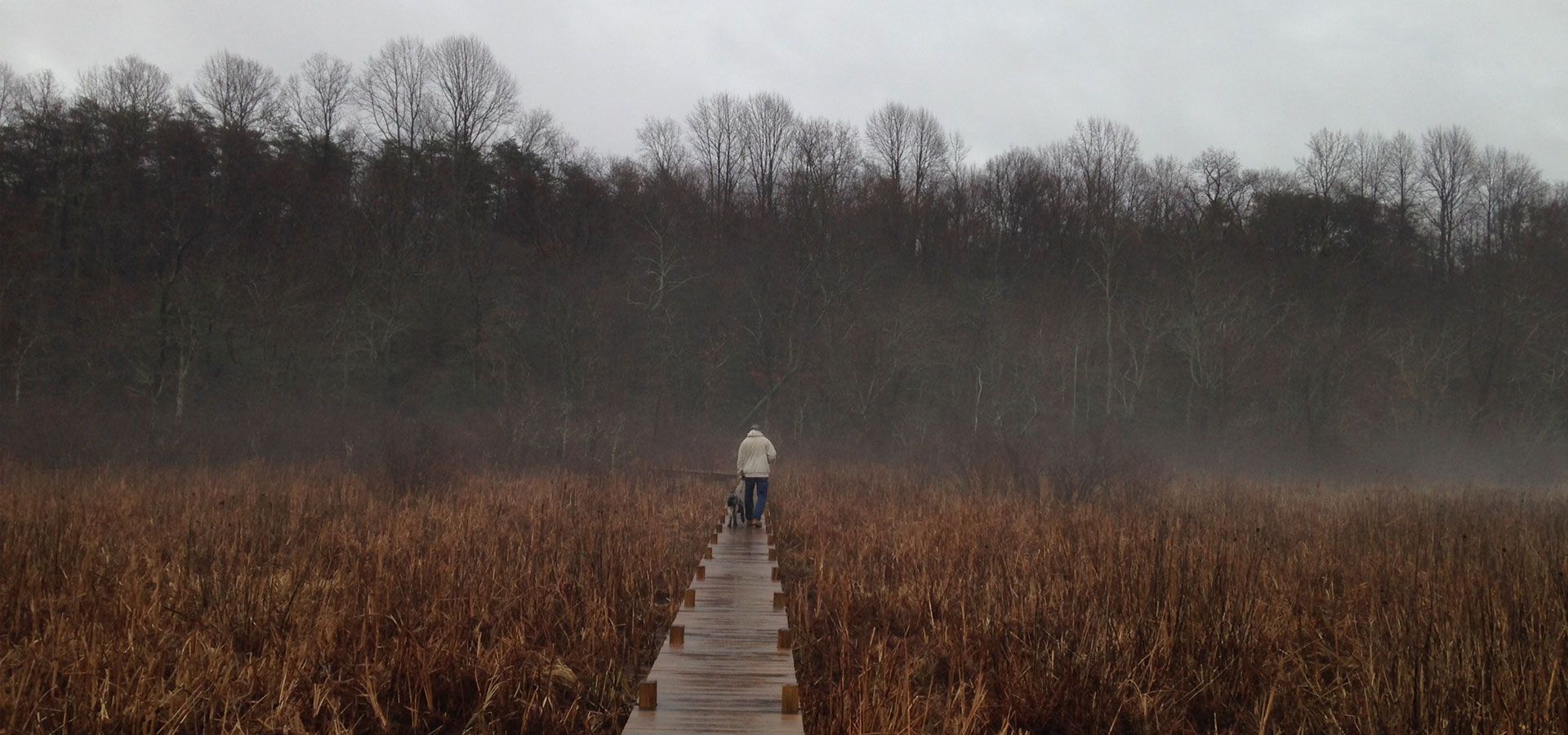 Person walking on a wooden boardwalk through misty marshland toward a dark tree line