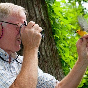 Person taking a photo of a small bird beside a tree in a green outdoor setting