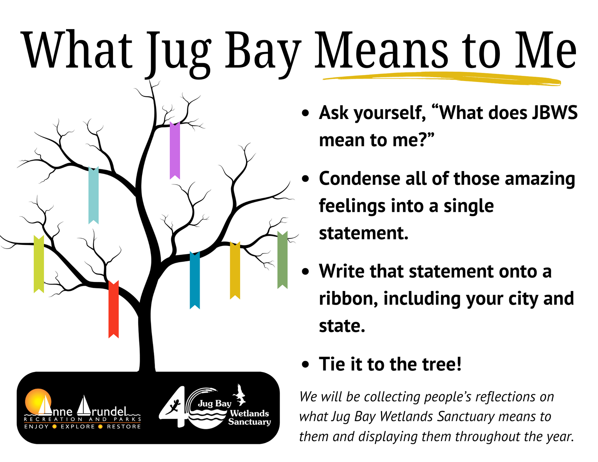 “What Jug Bay Means to Me” flyer with tree graphic, prompts, and Jug Bay Wetlands Sanctuary logos