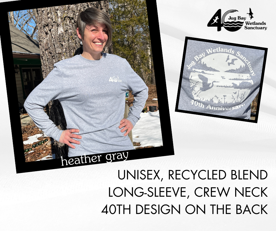 Gray long-sleeve crew neck shirt with 40th anniversary design; shirt front and back shown.