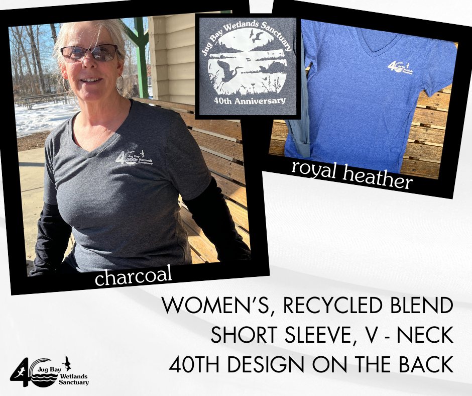 Charcoal women’s recycled-blend V-neck short-sleeve shirt with “40th design” back graphic and royal heather option