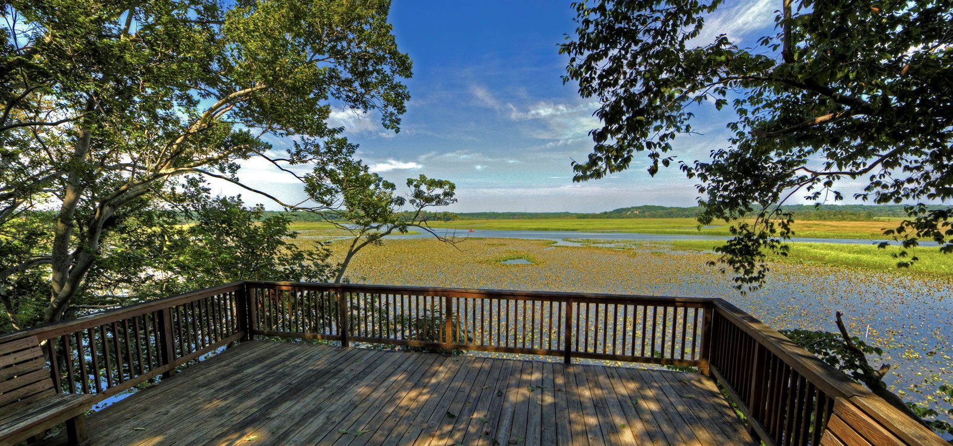 Wooden deck overlooking a marsh under leafy trees and a blue sky