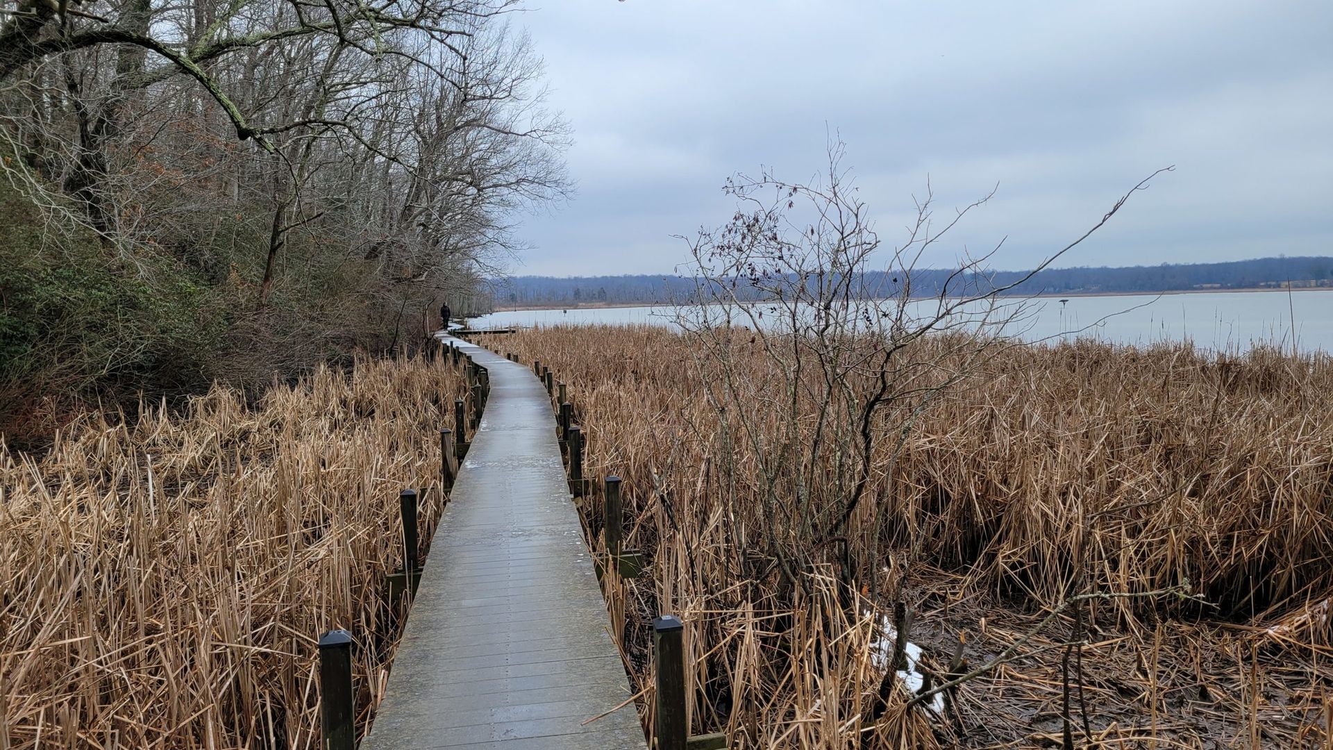 Wooden boardwalk through brown marsh reeds beside a calm lake under an overcast sky