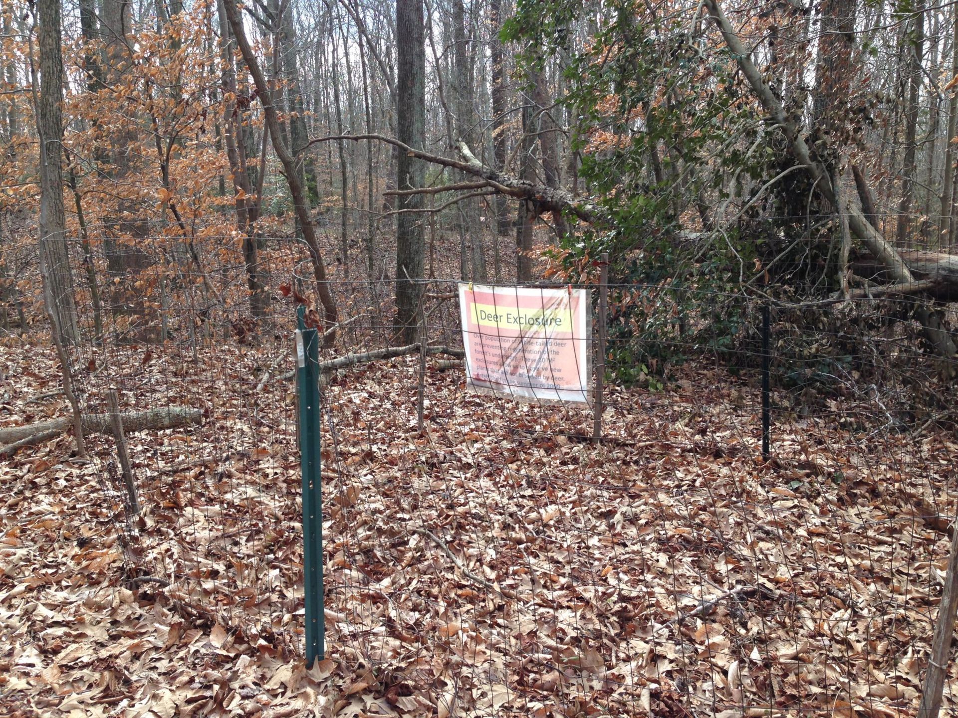 Wooded trail with a posted sign behind a green fence post in a leaf-covered forest.
