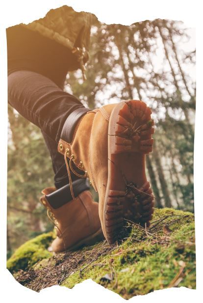 Booted feet hiking on mossy forest ground in warm sunlight