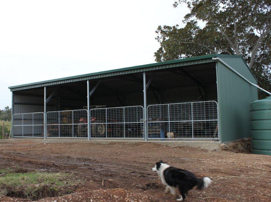 A Black And White Dog Standing In Front Of A Barn — Just Sheds In Kunda Park, QLD