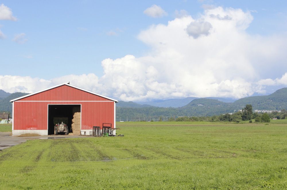 Red Shed in The Middle of The Fields