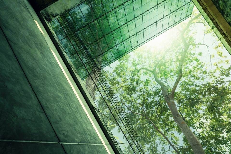 Azienda green