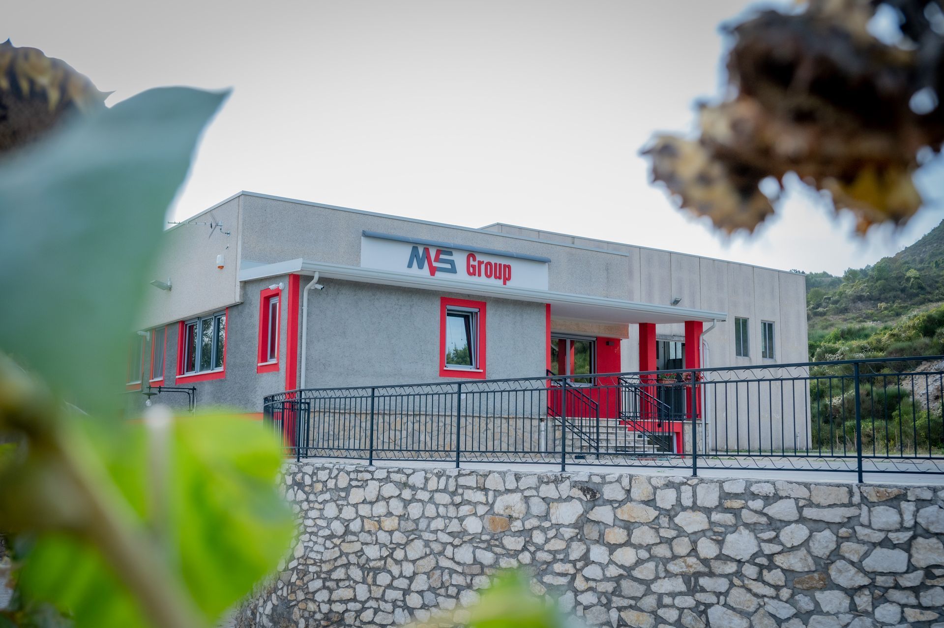 Azienda