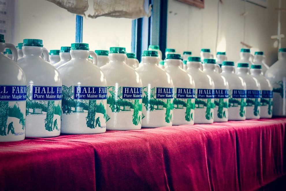 A row of white jugs of Hall Farm pure maple syrup lined up on a table covered by a red cloth.