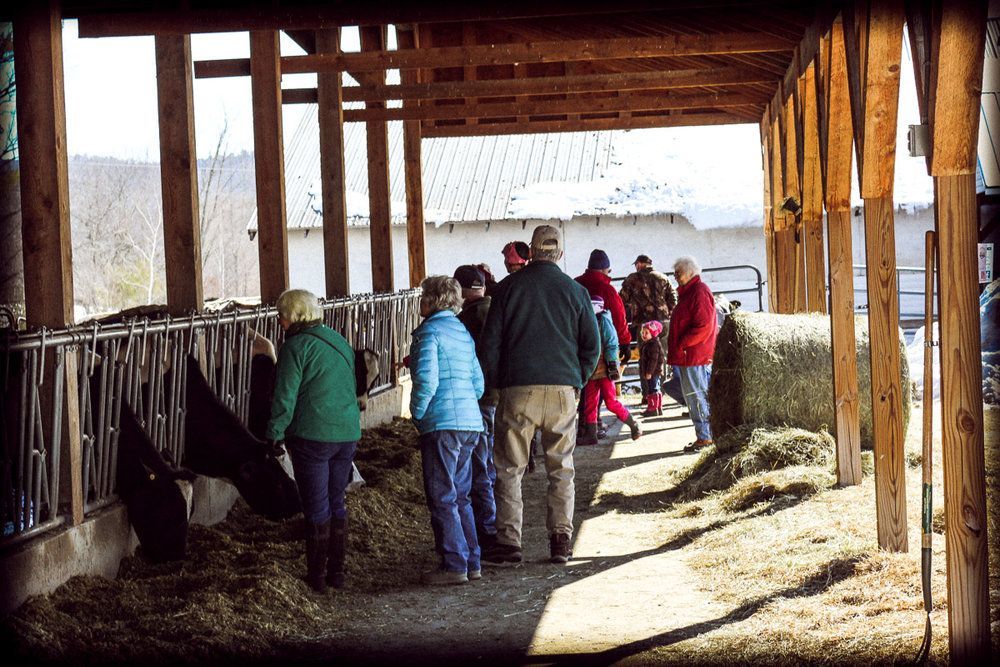 A group of people wearing winter clothing stands under a wooden barn structure, observing livestock near hay feeders.