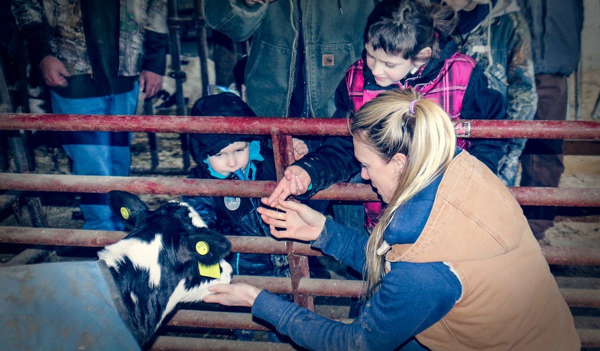 A woman and two children interact with a small calf inside a pen, reaching out to touch its nose through a metal gate.