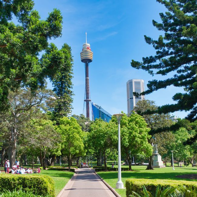 A Park With A Tall Tower In The Background — Howells & Co Legal & Conveyancing In Cessnock, NSW