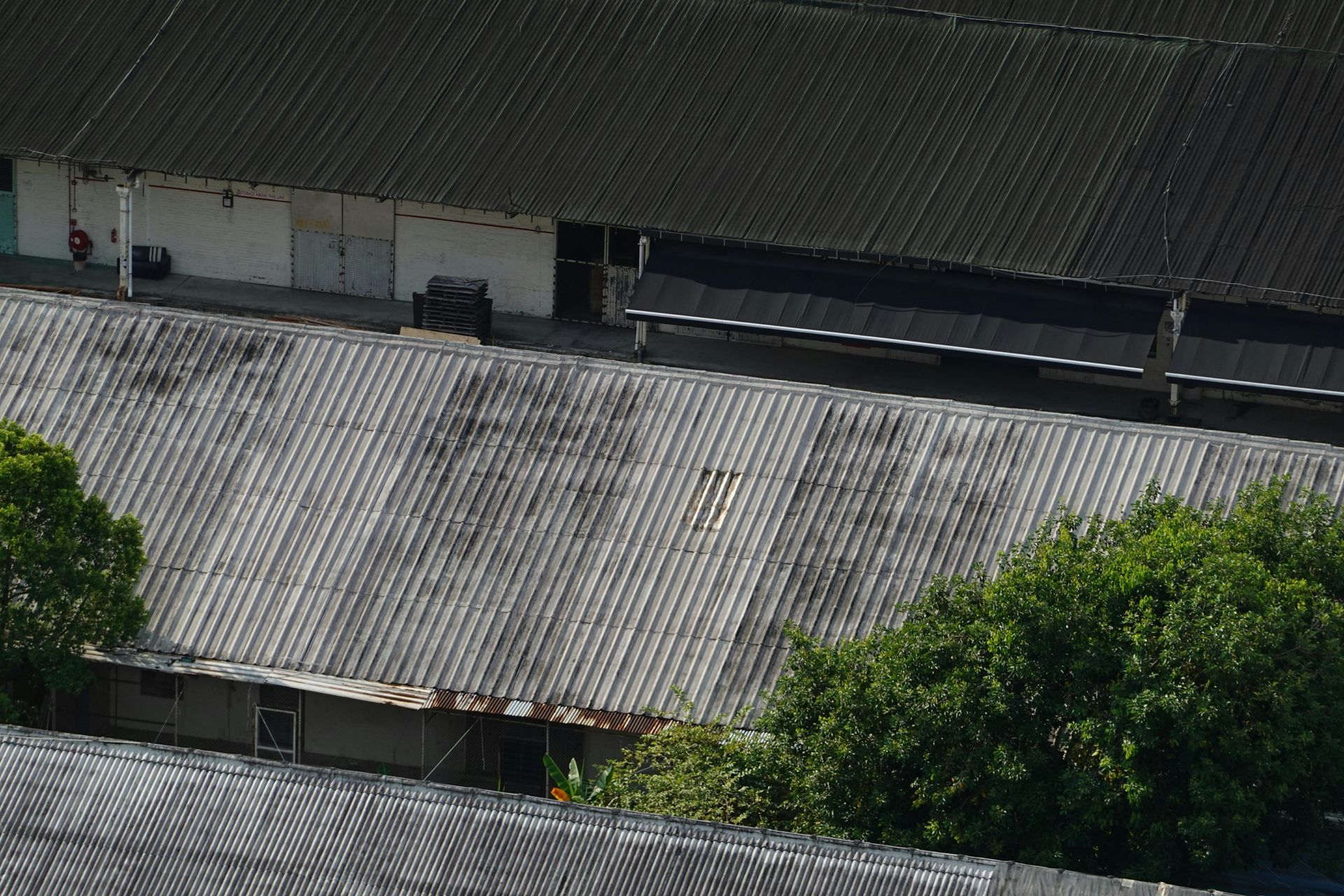 Overhead view of several buildings with corrugated, gray roofs, some stained, with patches of greenery in the foreground.