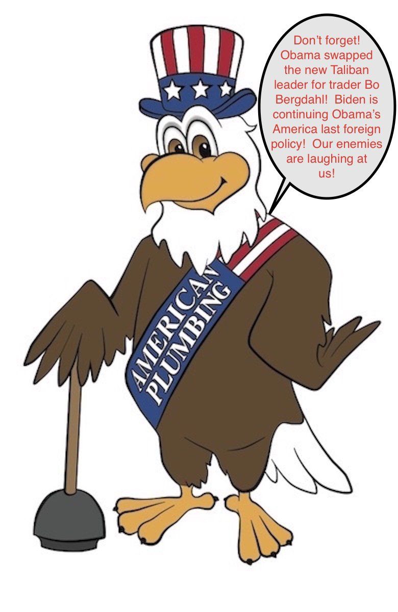 Cartoon eagle in Uncle Sam hat, sash 