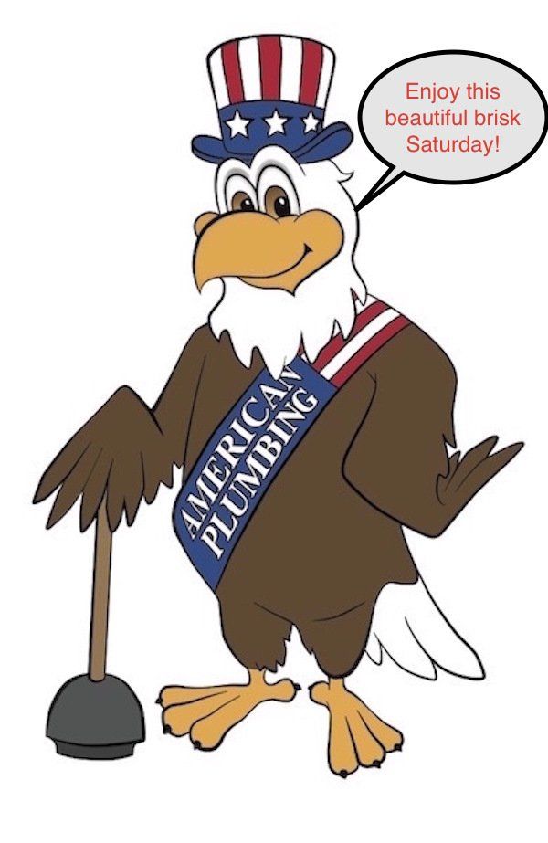 Bald eagle mascot for American Plumbing, wearing a top hat and sash, holding a plunger, and saying 