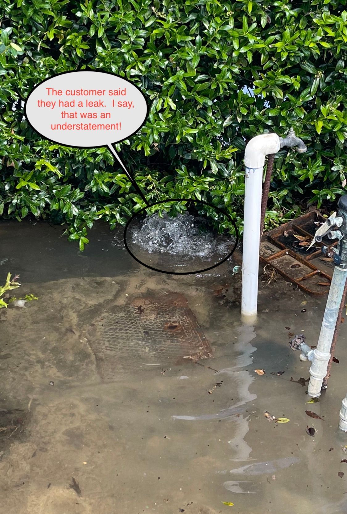 Water leaking from a pipe near a hedge, flooding the ground. Text bubble says,