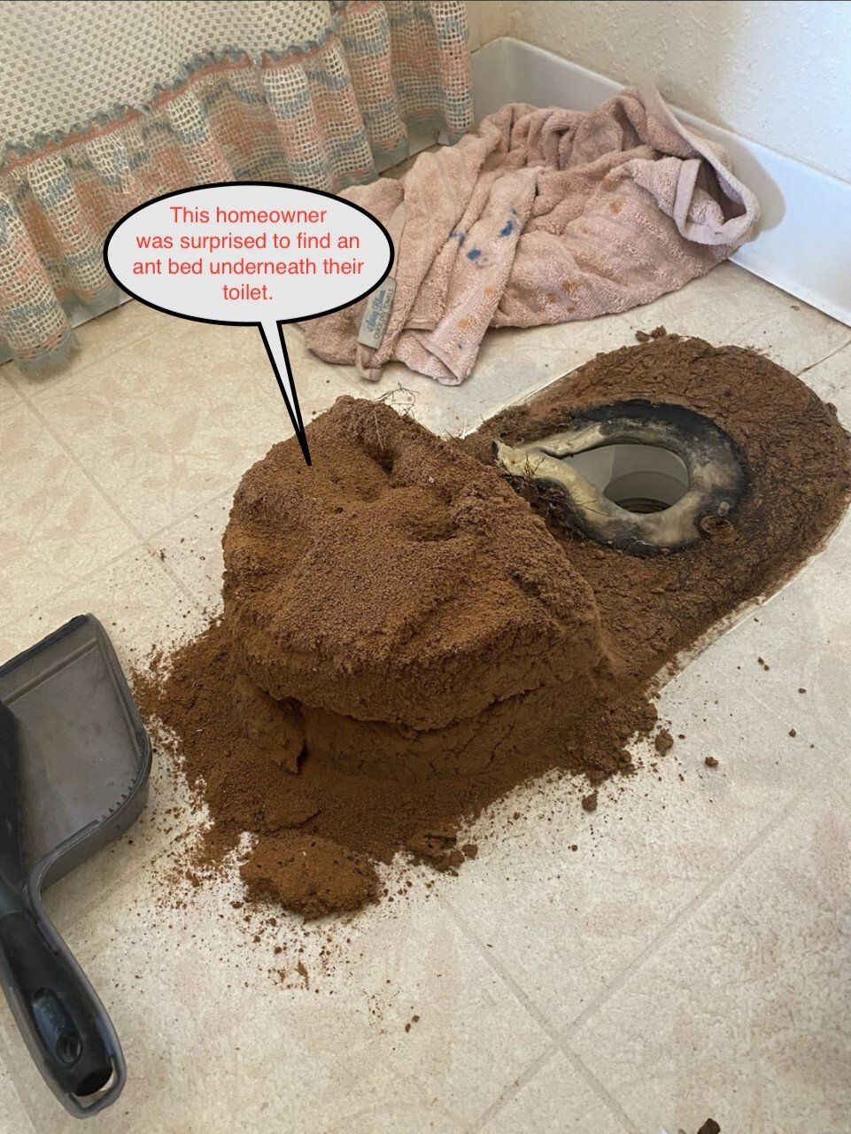 Brown material spills from under a toilet, indicating a structural issue.