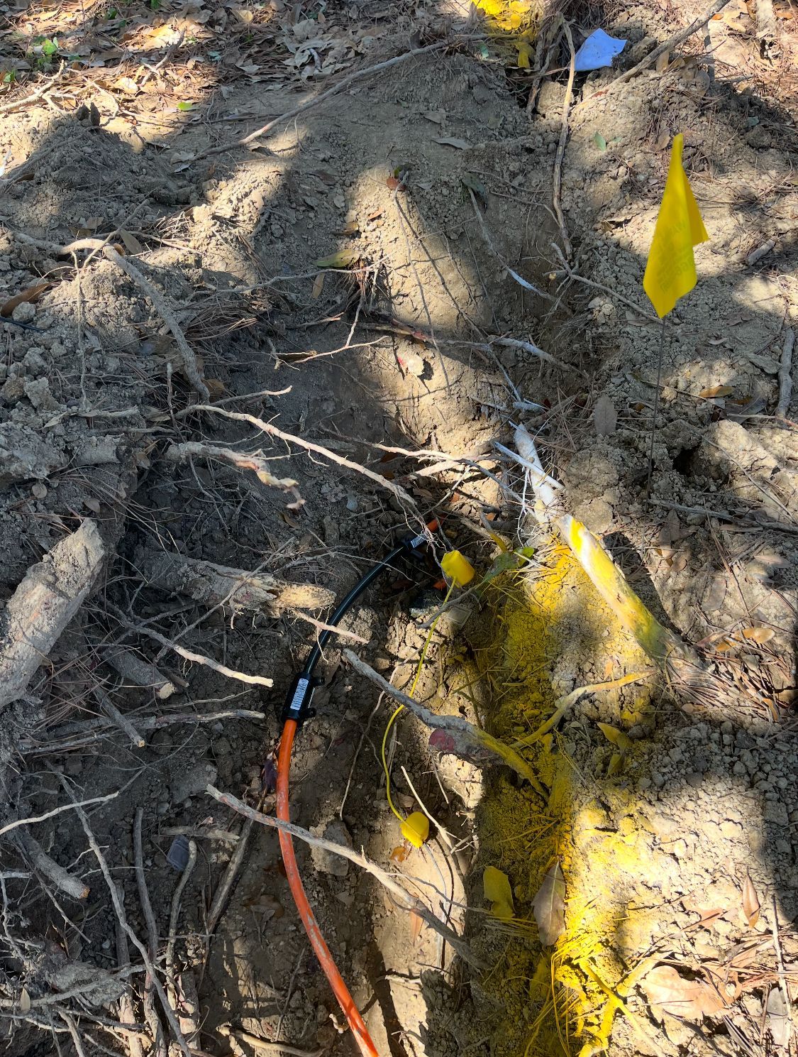 Yellow-marked trench with exposed tree roots, a black cable with an orange wire, and yellow and blue flags in a wooded area.