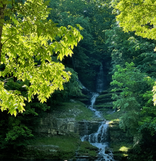 Forest waterfall cascading over rocky ledges, framed by lush green trees and sunlight.