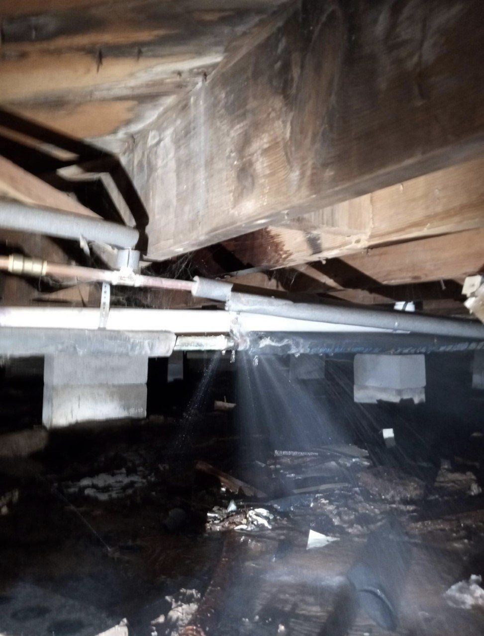 Underneath a house, light streams through a gap. Pipes, beams, and dark flooring are visible.
