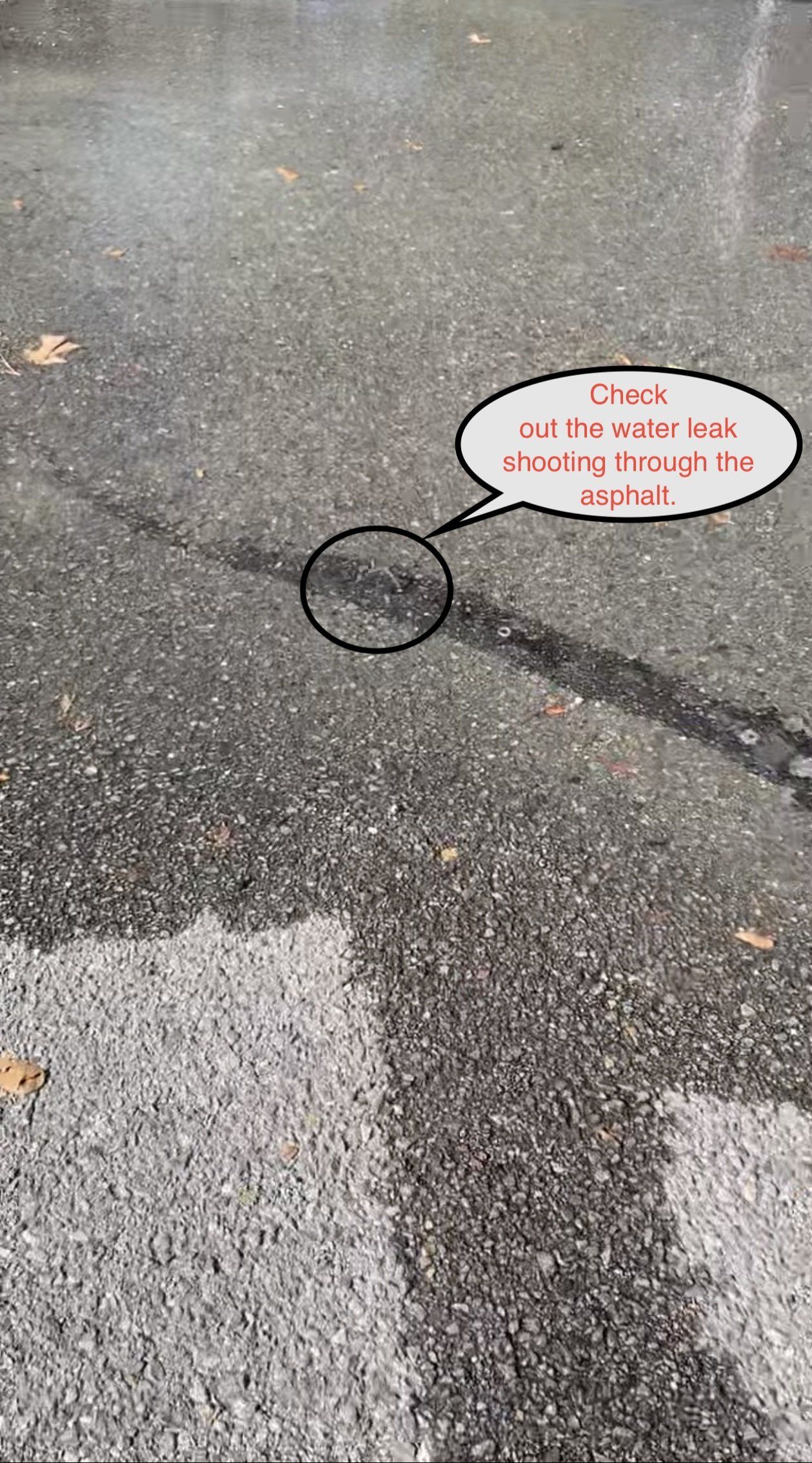 Wet asphalt with a small pothole circled in black, plus a speech bubble pointing to it.