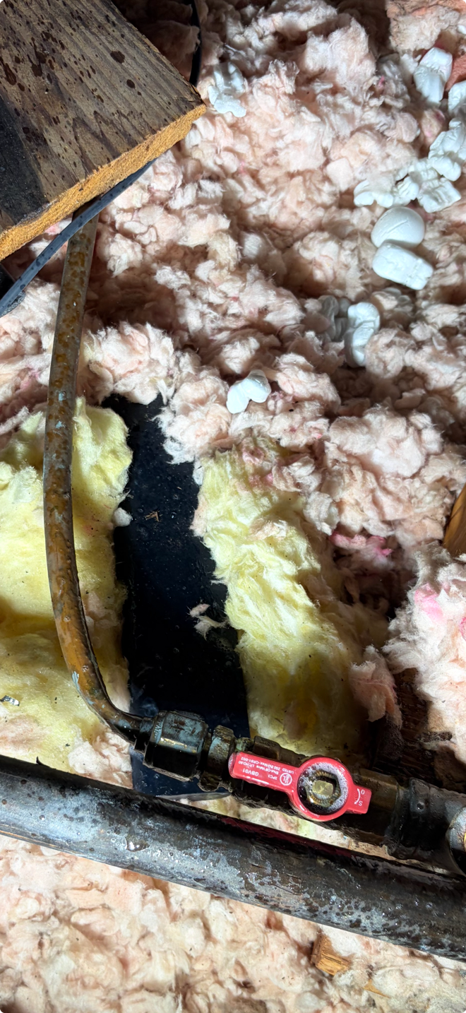 Insulation inside attic framing with a yellow spray-foam section and a red pipe clamp at the bottom.