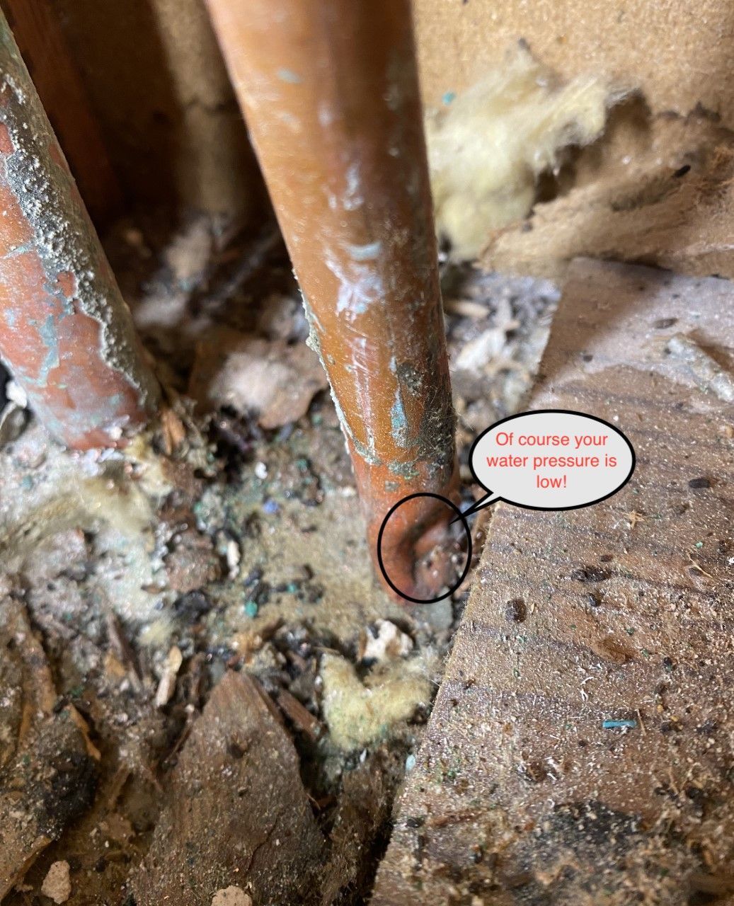 Close-up of rusty pipes with moldy buildup and a circled leak point near the floor.