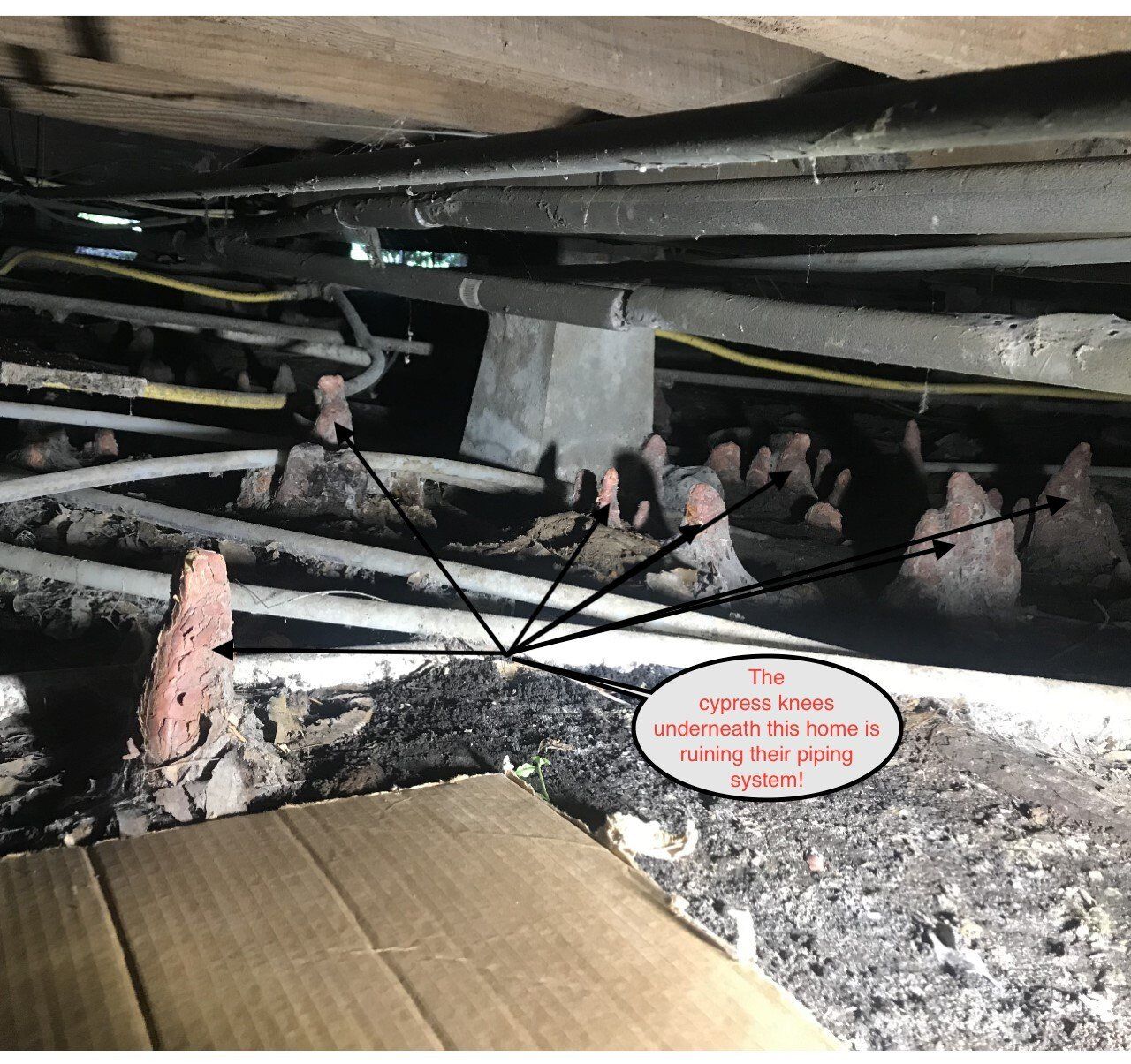 Crawling space under a house with pipes, insulation, and a warning sign on the dirt floor.