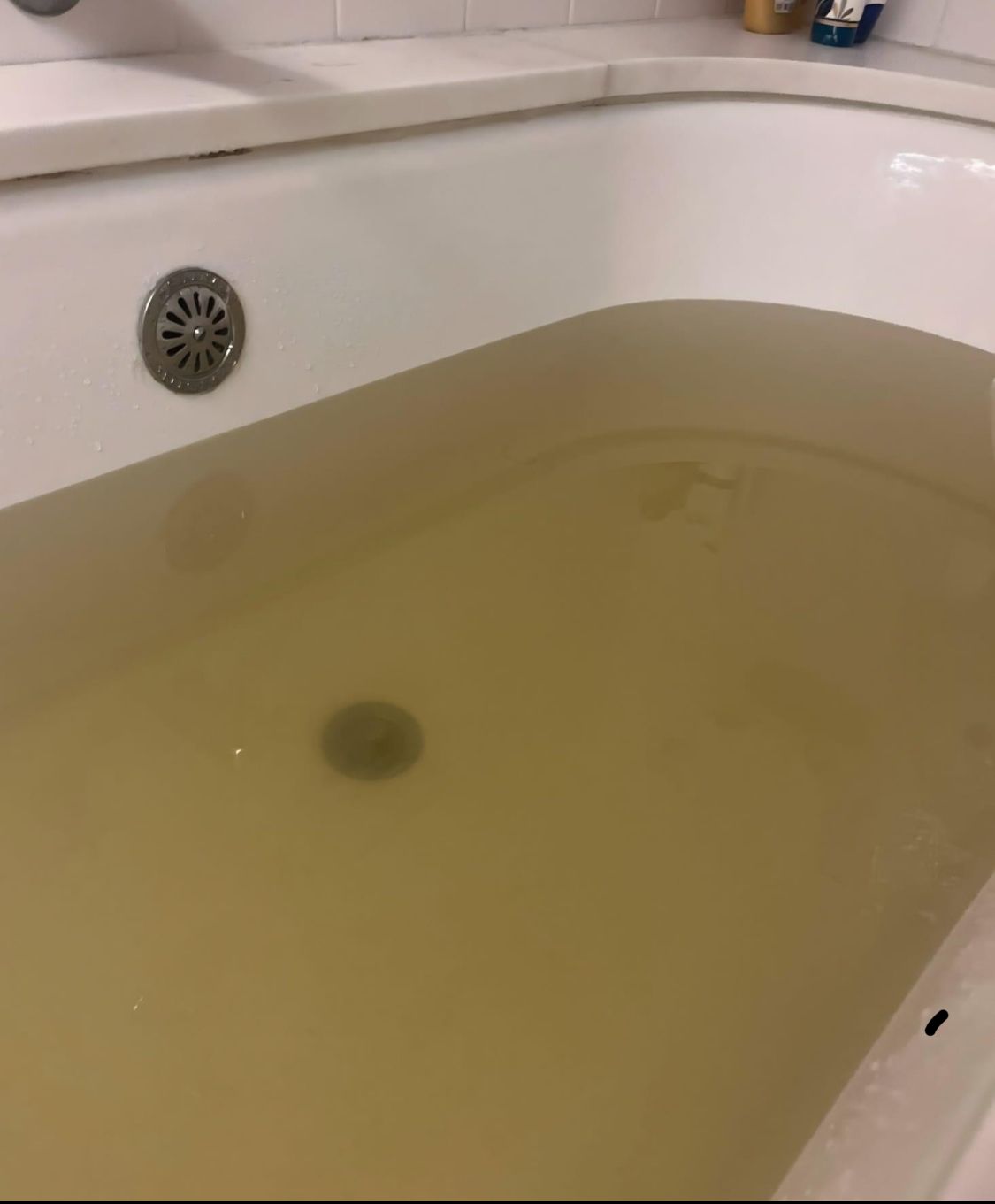 Bathtub filled with cloudy yellow water, with the drain visible.