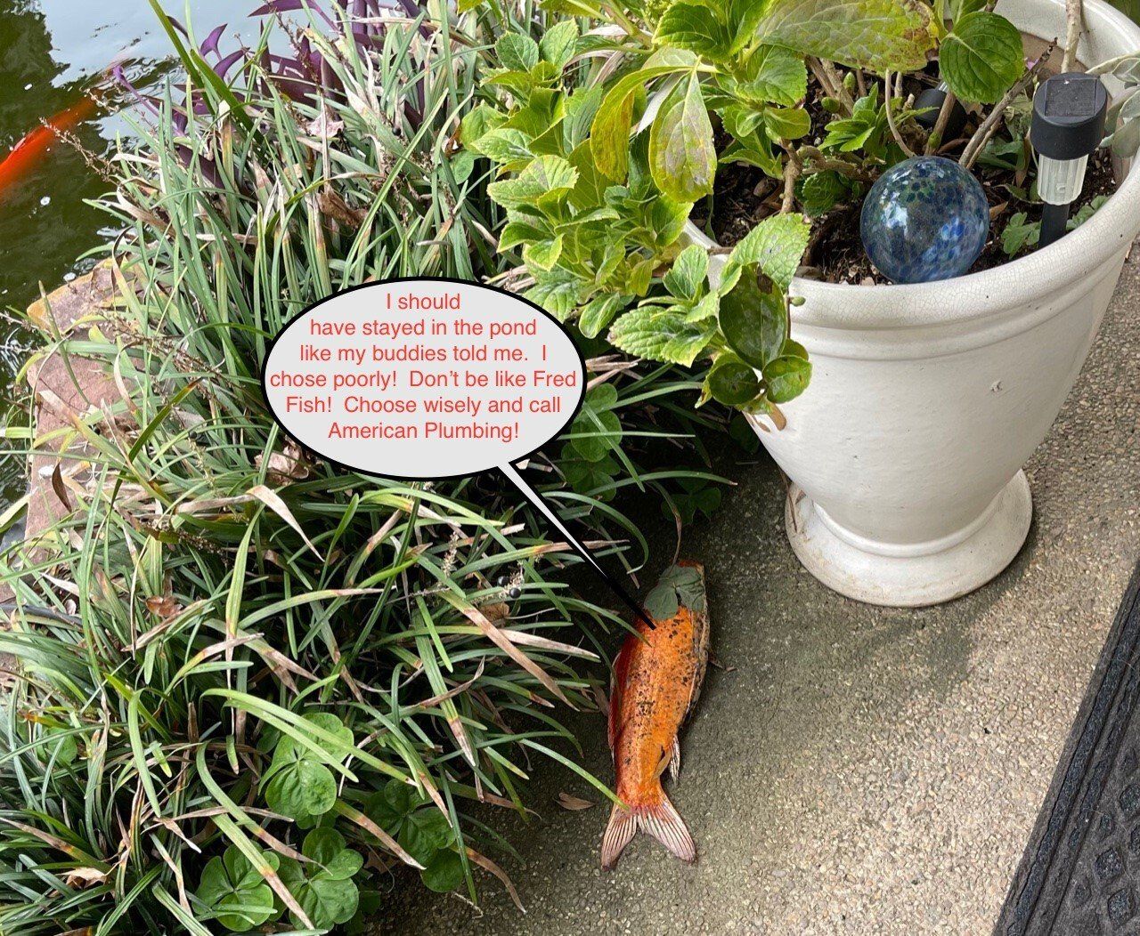Garden plants with a koi fish sculpture and a speech-bubble sign beside a patio urn