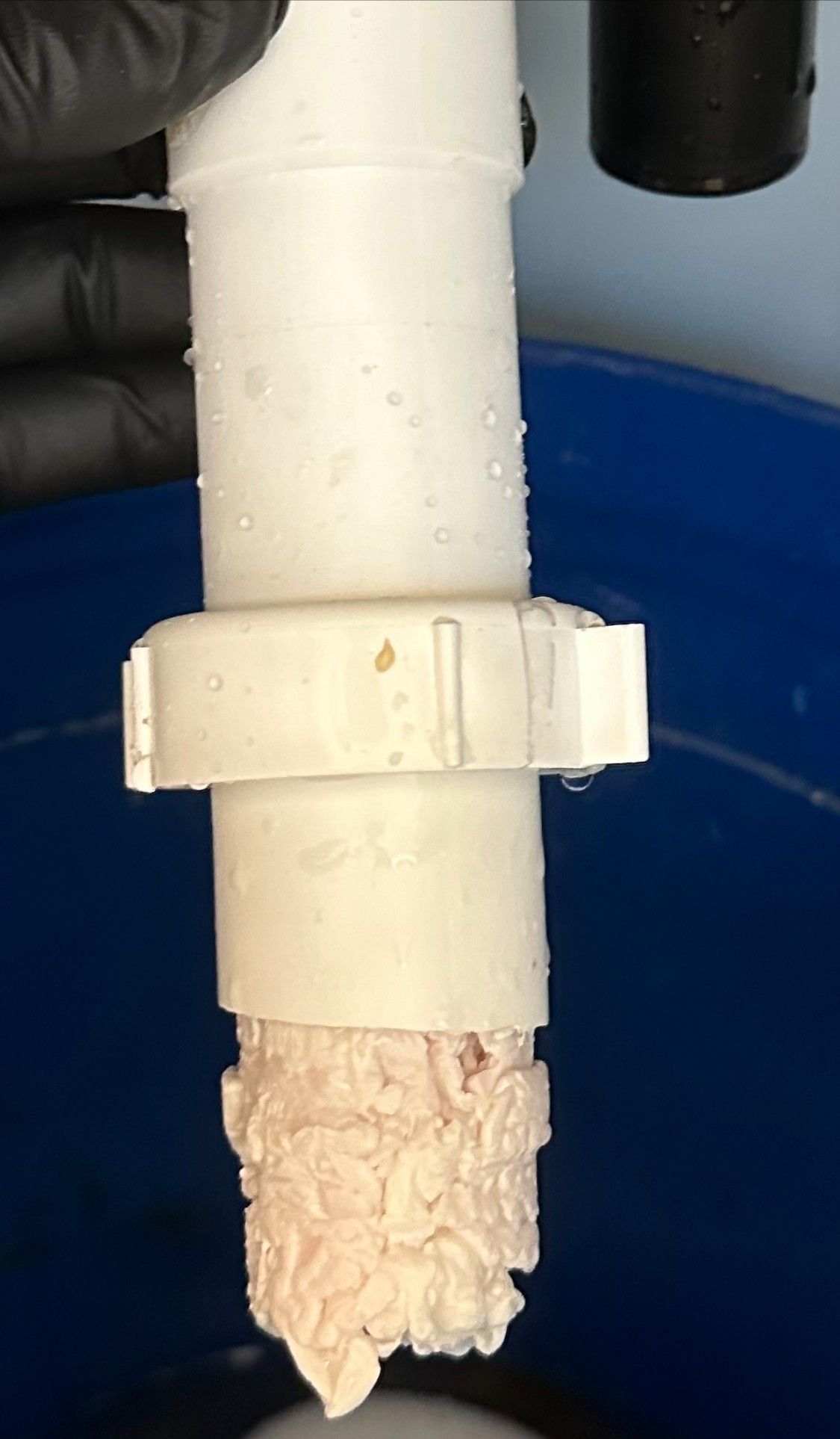 White plumbing pipe with a mass of pinkish-white, fibrous material attached, likely a clog.