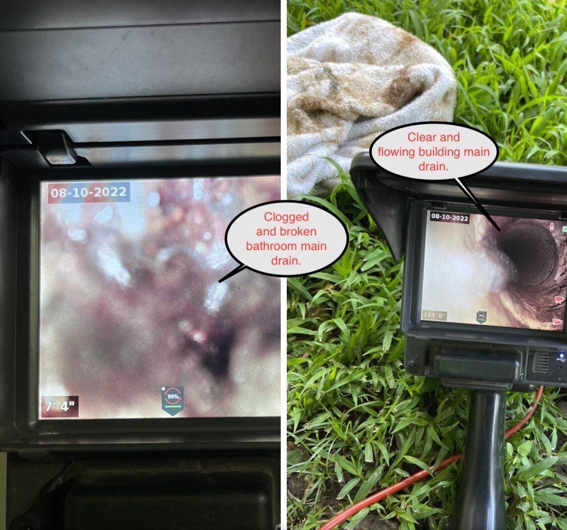 Endoscope monitor showing blurry tissue; outdoor setup with grassy ground and a handheld inspection camera