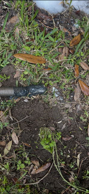 Close-up of muddy ground with weeds, a brown leaf, and a black hose or cable end.
