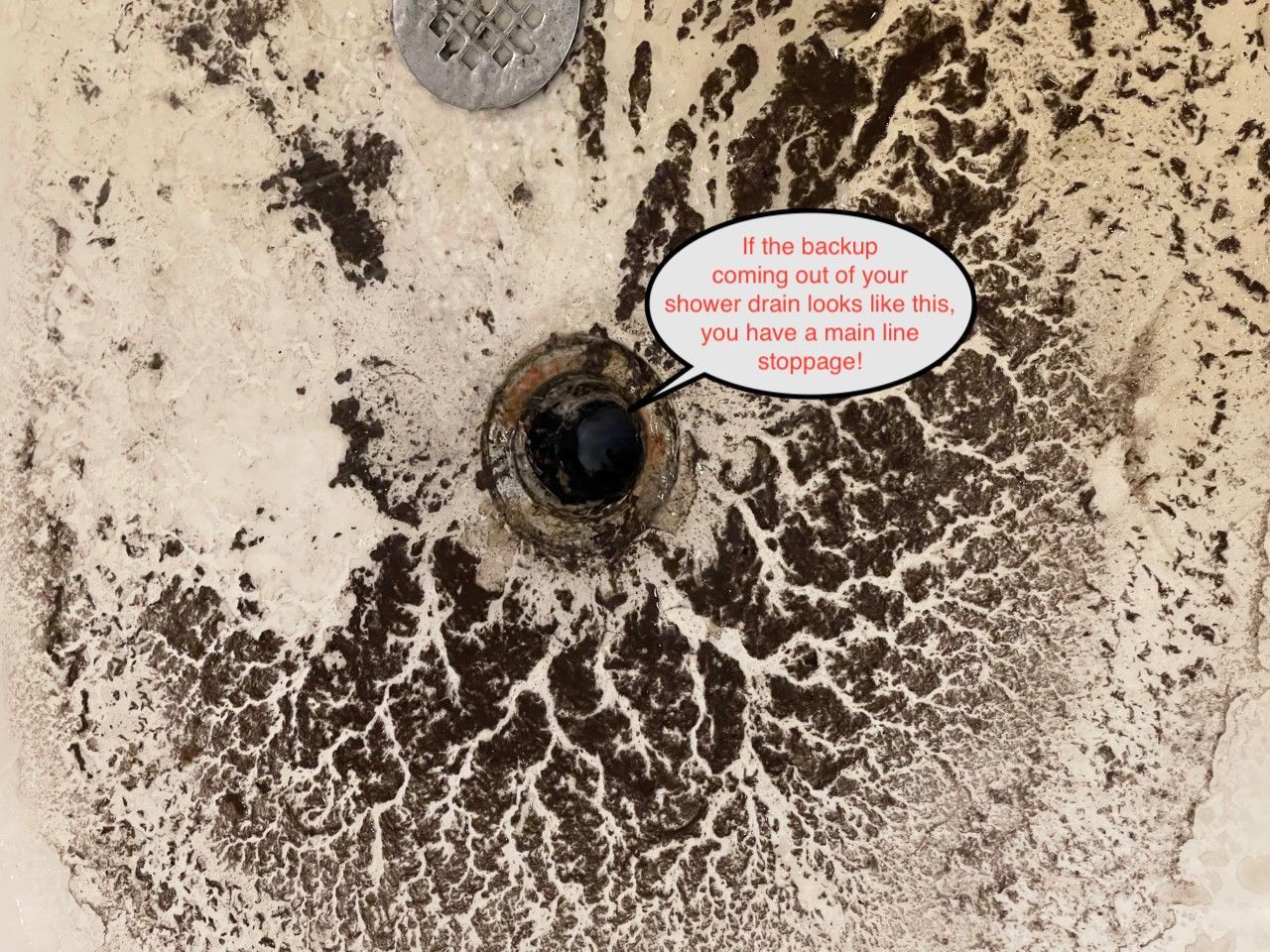 Coffee grounds and liquid splattered around a drain on a light floor, with a small text speech bubble.