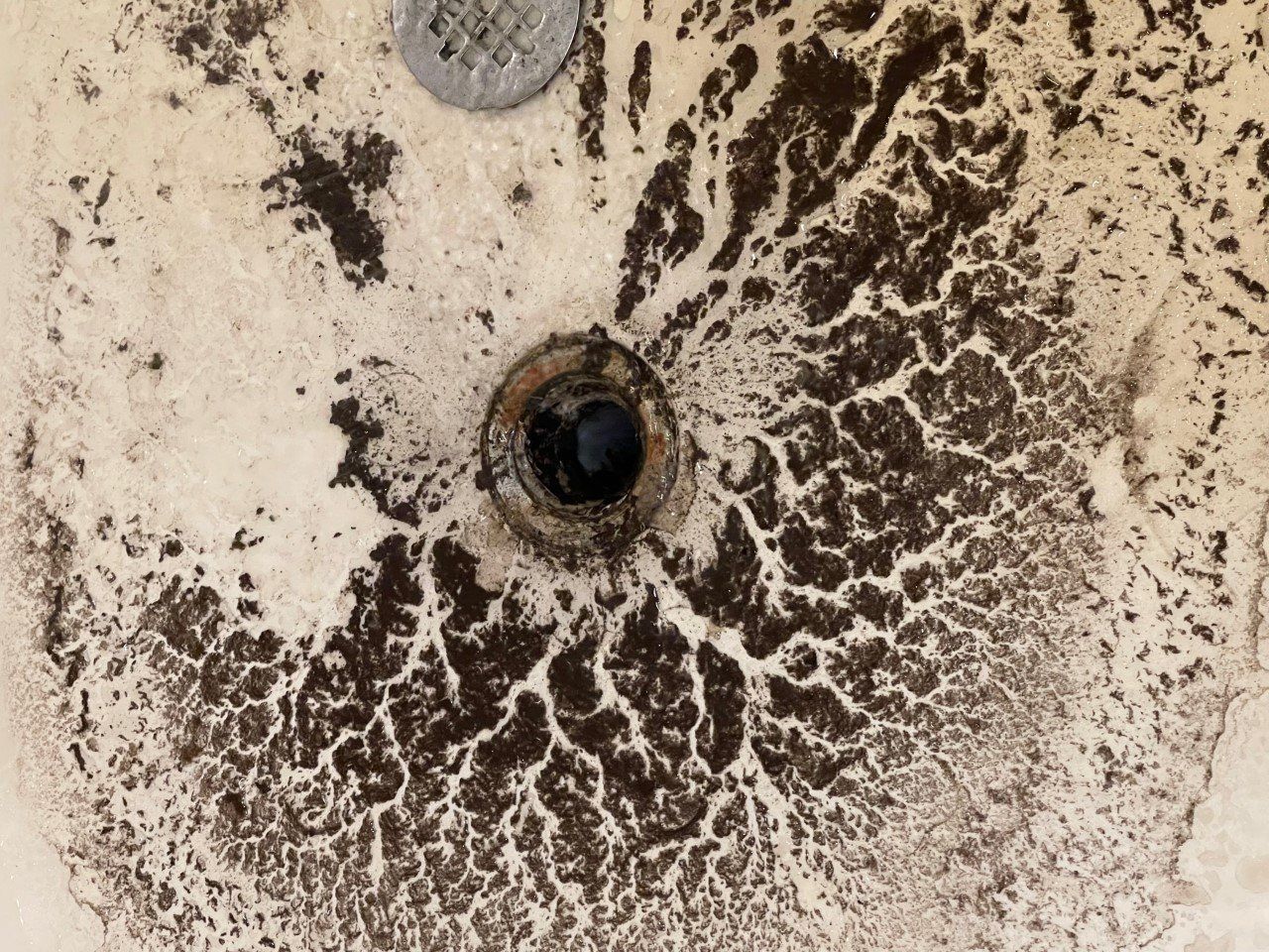 Dirty bathtub drain with dark brown stains spreading outwards from the drain.